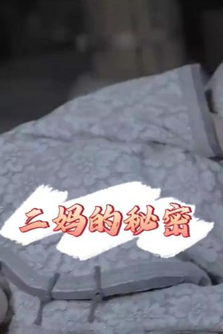 二妈的秘密 全集(大结局)