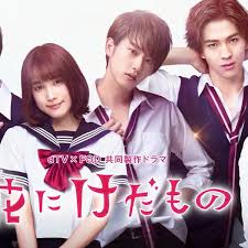 花予野兽 第一季 第01集