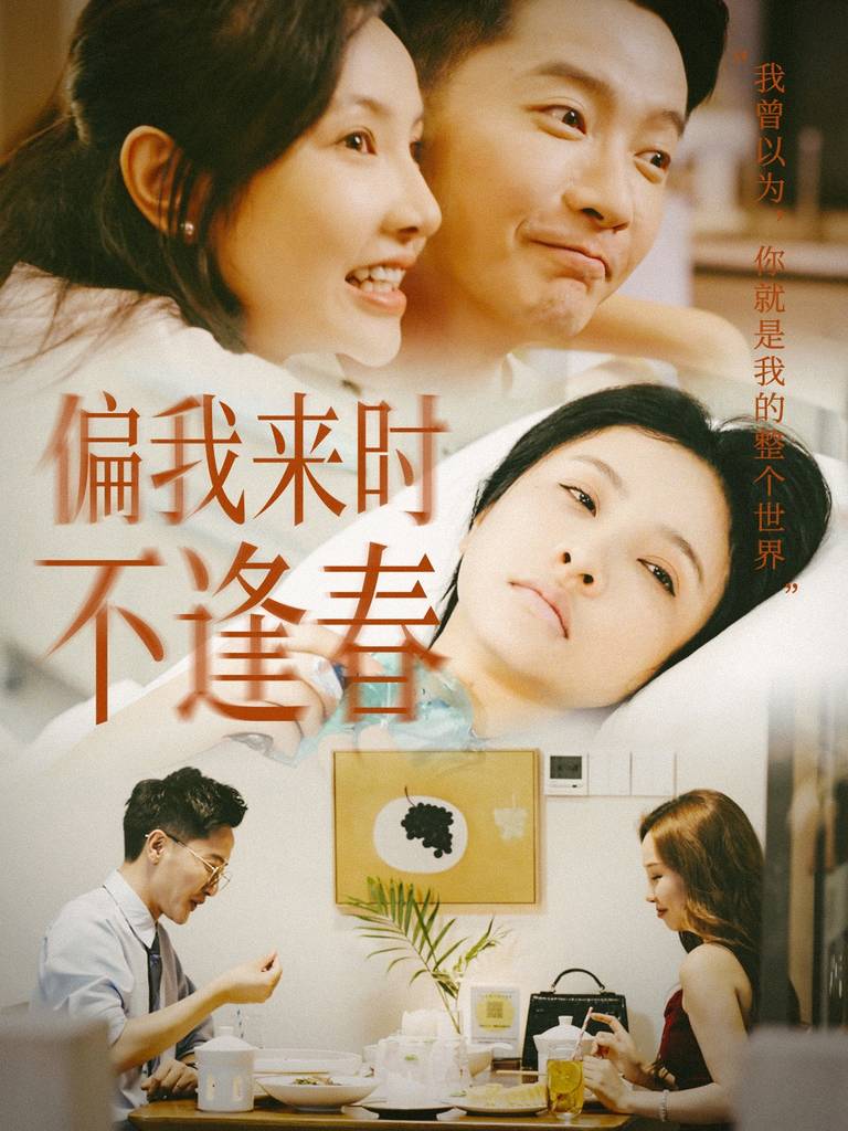 偏我来时不逢 全集(大结局)