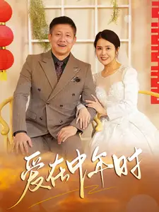 爱在中年时 第21-40集(大结局)