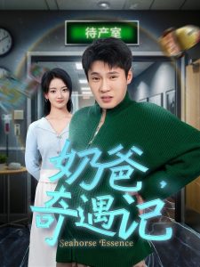 奶爸奇遇记 第01-30集