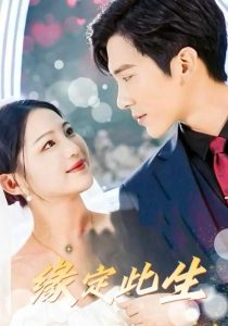 缘定此生(全集)